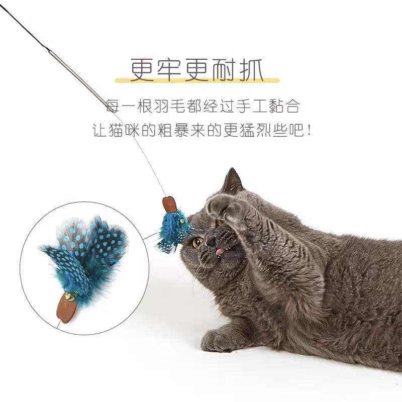 赛级直引猫咪逗猫棒木柄弹簧逗猫棒互动自嗨猫咪逗猫棒耐咬耐用