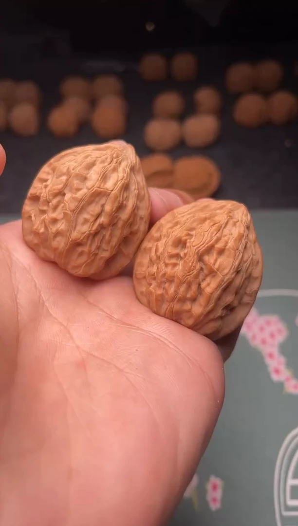 核桃a292  野生坐佛 34尺