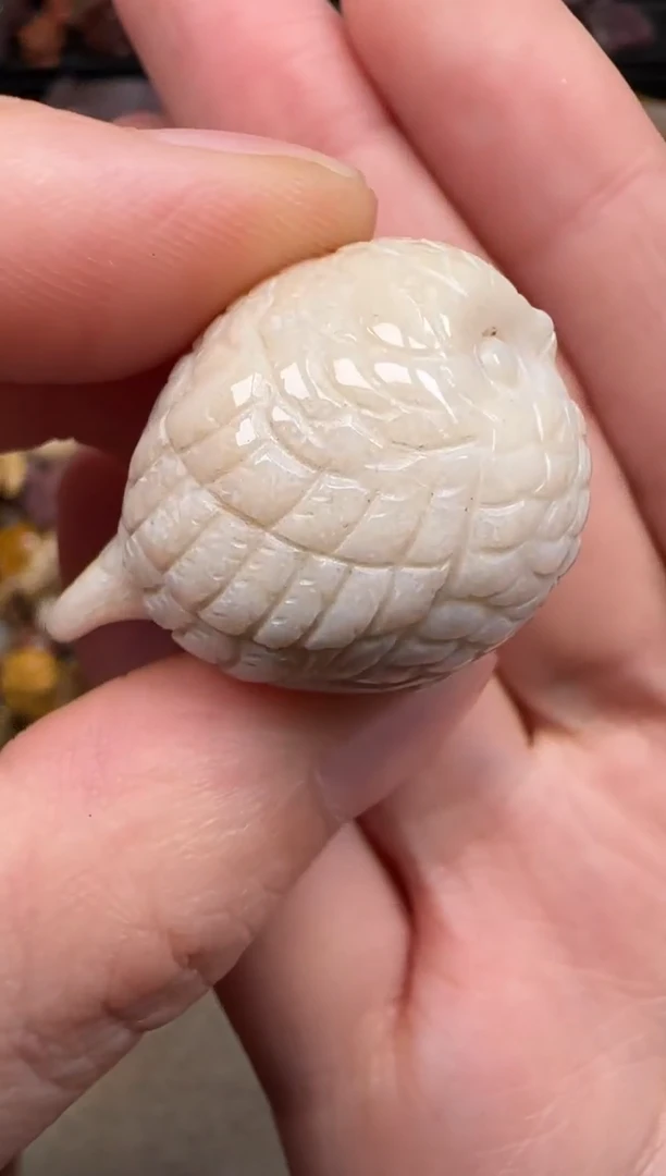 硅化珊瑚（珊瑚玉）未镶嵌颈饰187