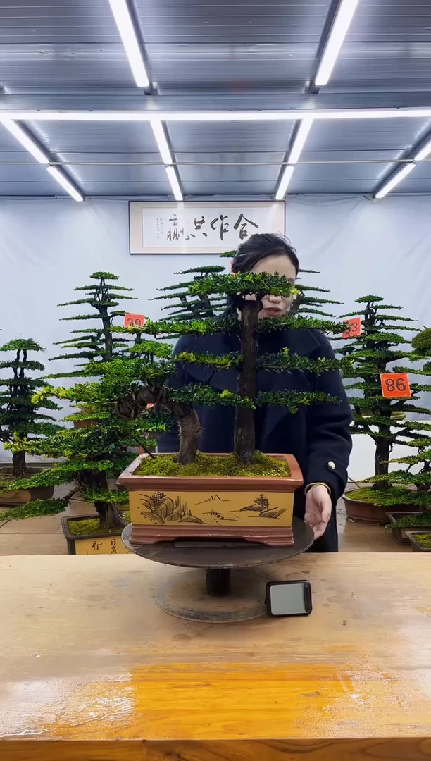 无花朵一物一拍，所见即所得