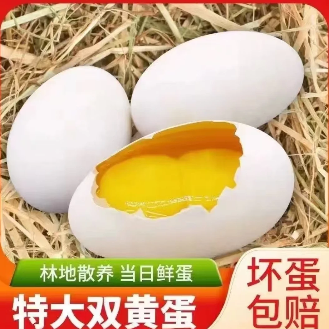 【九儿】现捡现发新鲜散养双黄鹅蛋一箱12枚单枚重130-160g