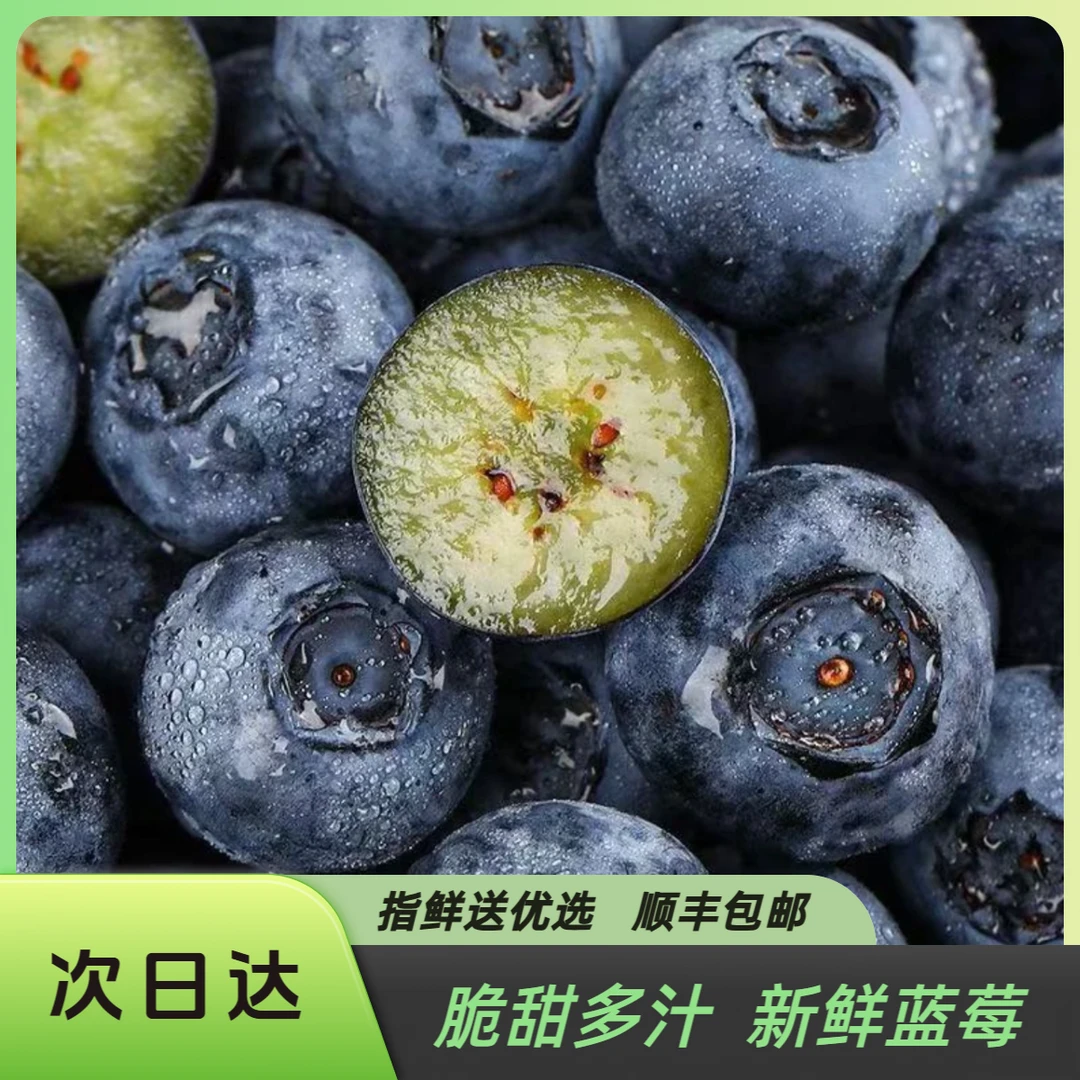 ⑨⑧•云南高山露天种植L25满口花香蓝莓(15mm+)毛重500gL25云南省玉溪市