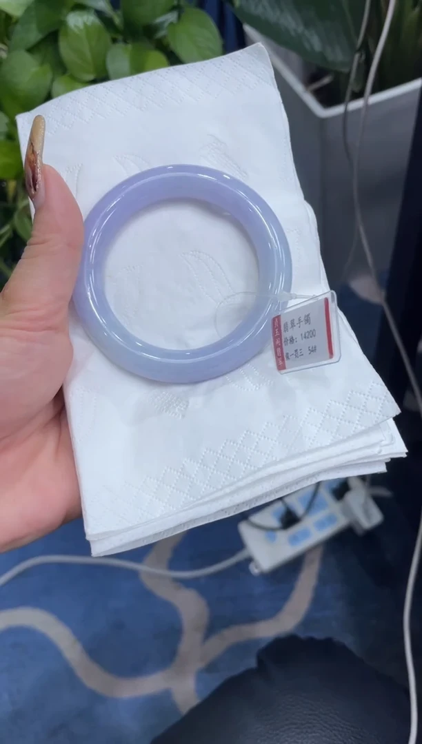 未镶嵌手镯翡翠6529****