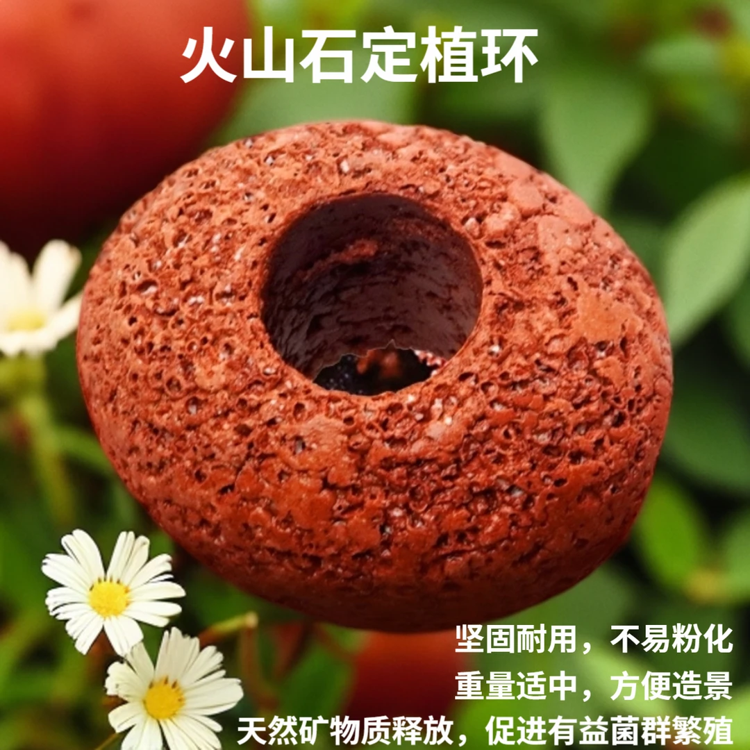 水草底沙鱼缸造景火山石定植环装饰新手懒人绿植打孔固定植物底座