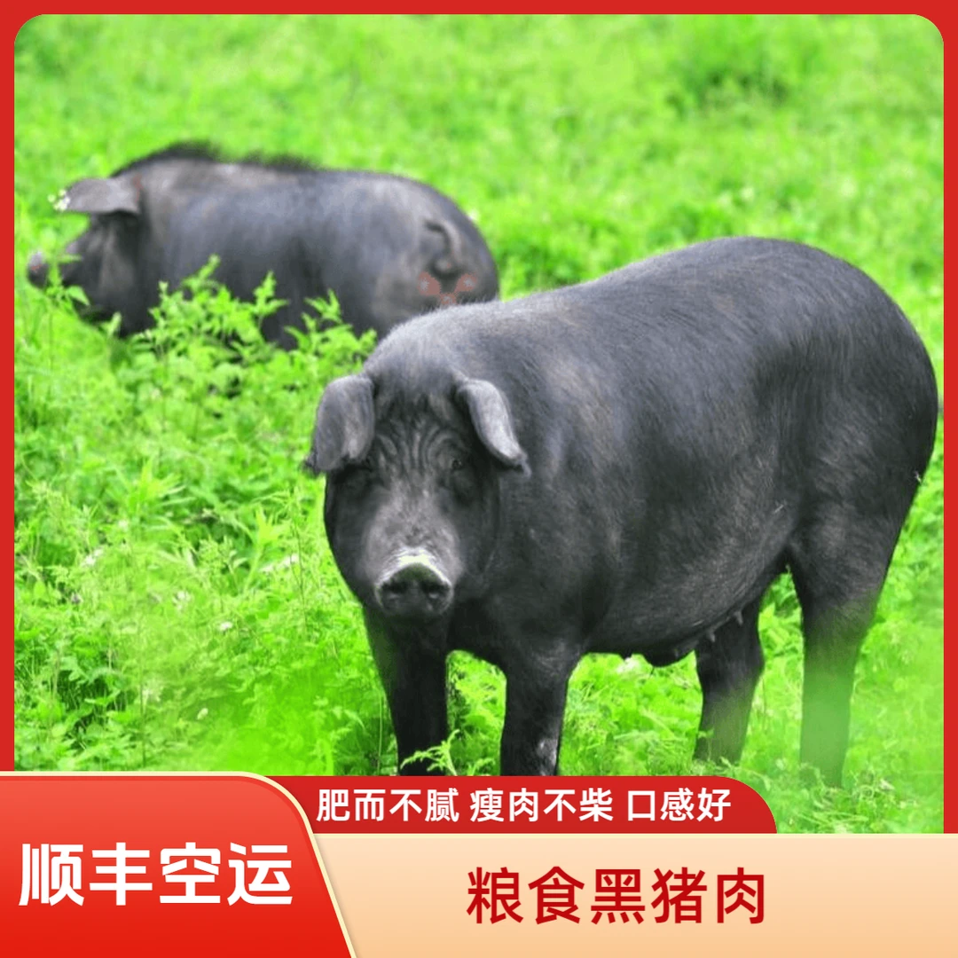 腰子 [现称 一物一拍 ]四川新鲜土猪 黑猪肉