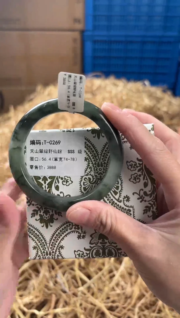 未镶嵌手镯石英质玉T-0269