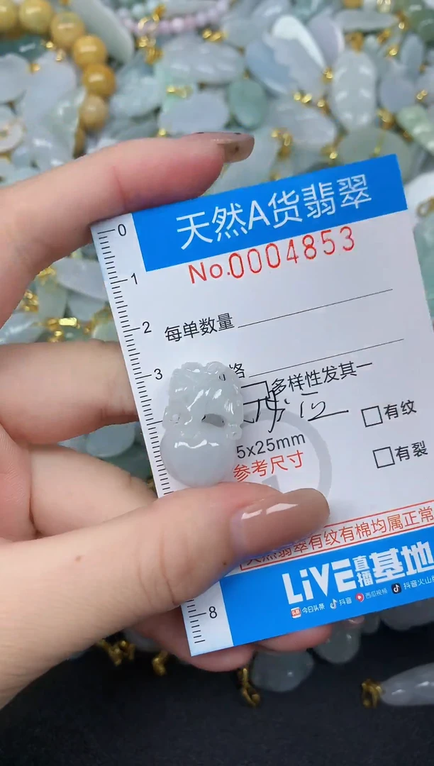 颈饰未镶嵌翡翠净货挂件-4853