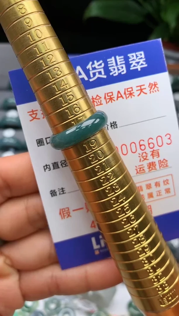 【闪购商品】翡翠戒指未镶嵌18号圈口6603