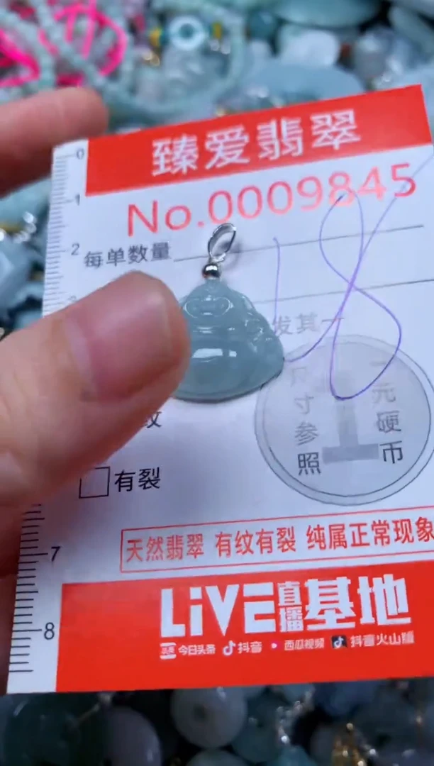 翡翠未镶嵌吊坠(不含链)9845