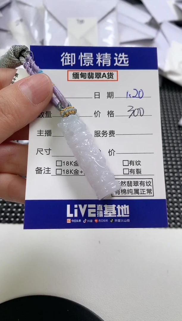 【闪购商品】翡翠颈饰未镶嵌15