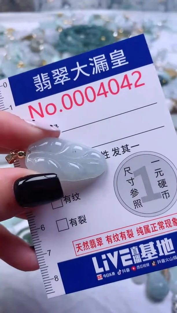 颈饰未镶嵌翡翠4042