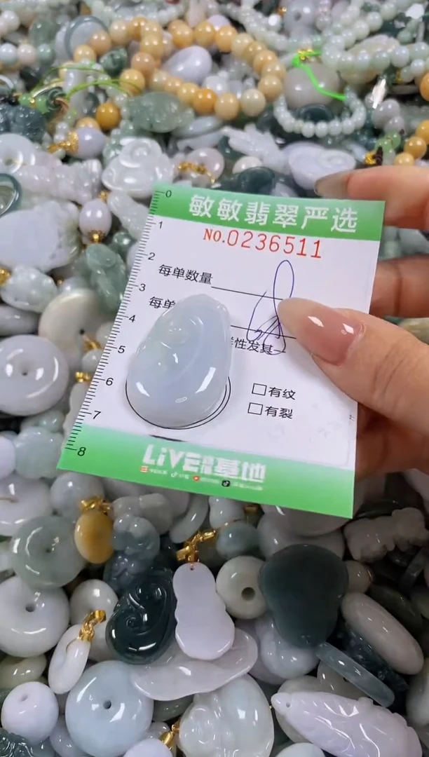 翡翠未镶嵌颈饰闪购0236511