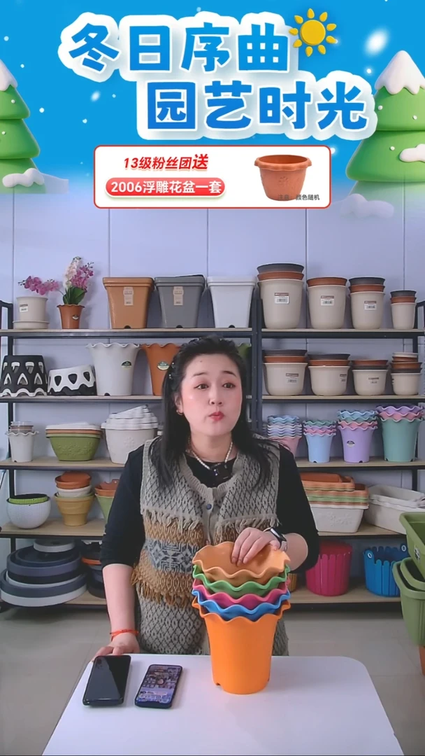 彩色荷叶边5002五个不带托盘