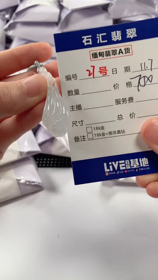 颈饰未镶嵌翡翠1