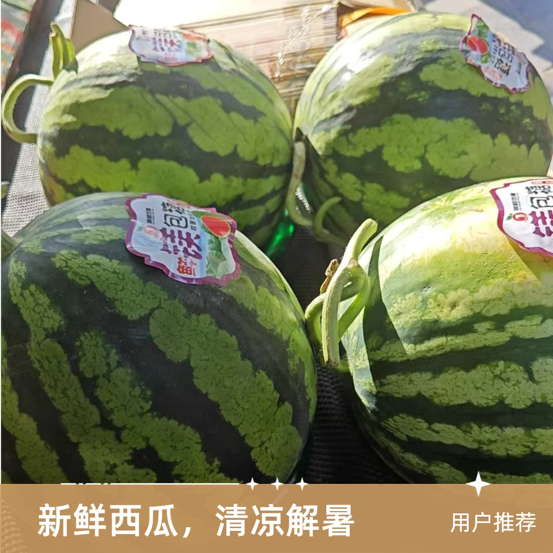 （切需备注）翡翠麒麟无籽西瓜西瓜同城配云南省