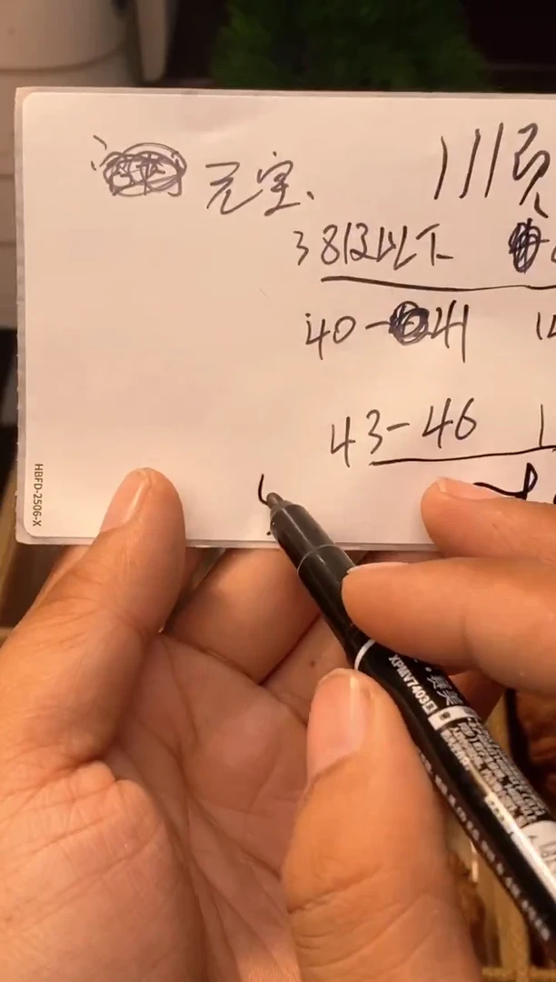 把件文玩核桃元宝文玩核桃⬛️43-46