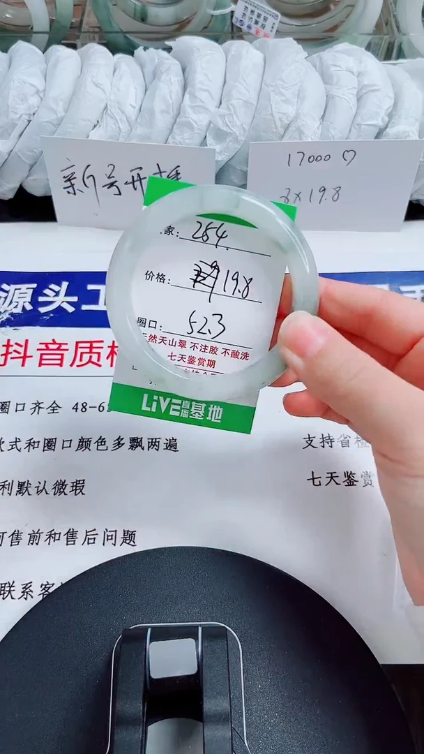 未镶嵌手镯石英质玉254-51/52