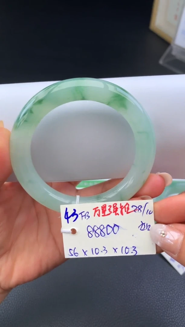 未镶嵌手镯翡翠假一赔三 手镯