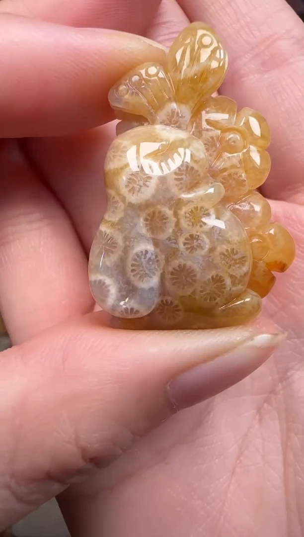 硅化珊瑚（珊瑚玉）未镶嵌颈饰322