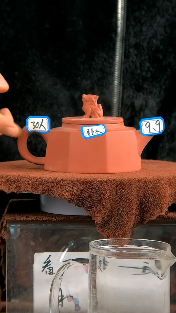 【闪购商品】紫砂茶壶【闪购商品】 紫砂 茶壶