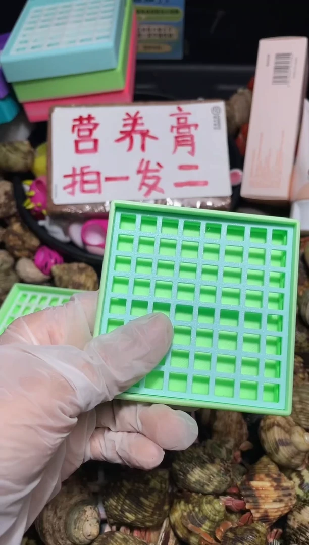L*陌派帝国寄居蟹436