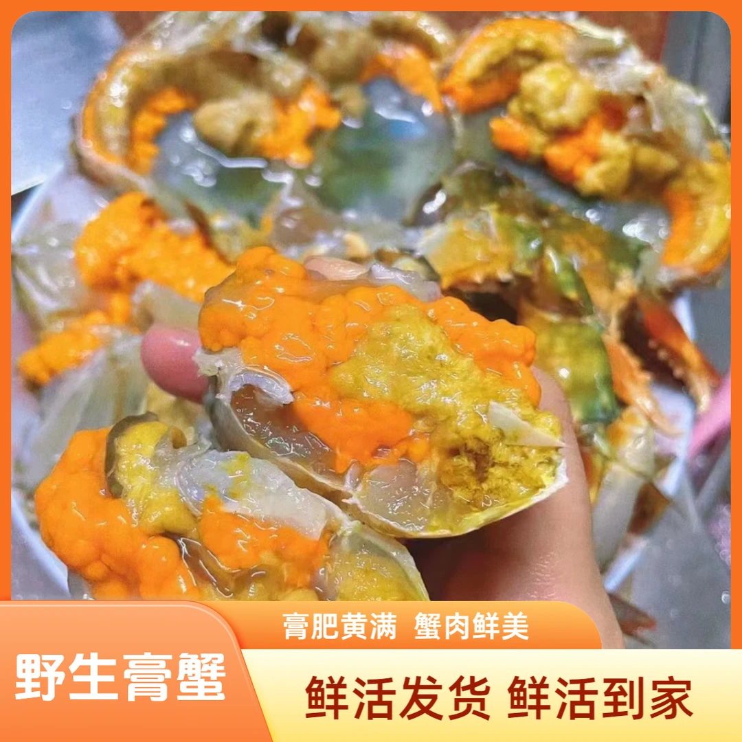 【包活】全母青膏蟹海蟹大红膏蟹大规格150-200g/只/杭州发货/次日达/凭开箱视频享受包活售后