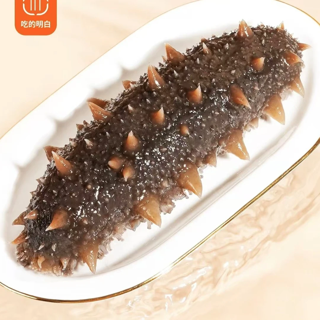 孟参堂正宗大连即食海参15-20头