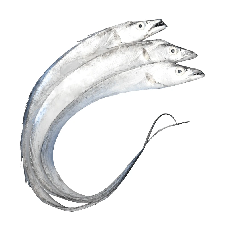 现称带鱼三指宽（重量及价格以实际称重为准）单价19.8元/斤