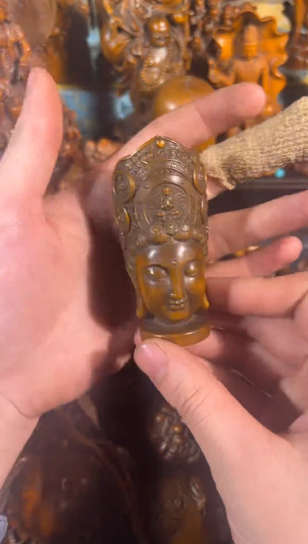 黄杨木11111111111111