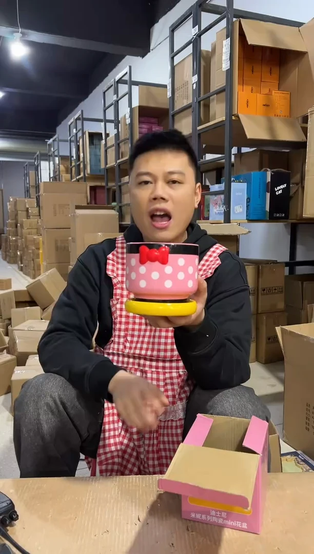 【闪购商品】杯陶瓷原盒米妮花盆
