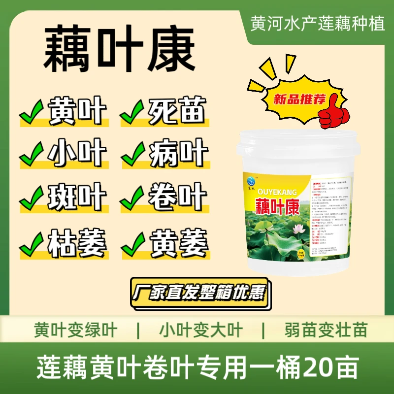 藕叶康中微量元素叶面绿叶黄叶喷绿莲藕水生植物调节生长一桶20亩