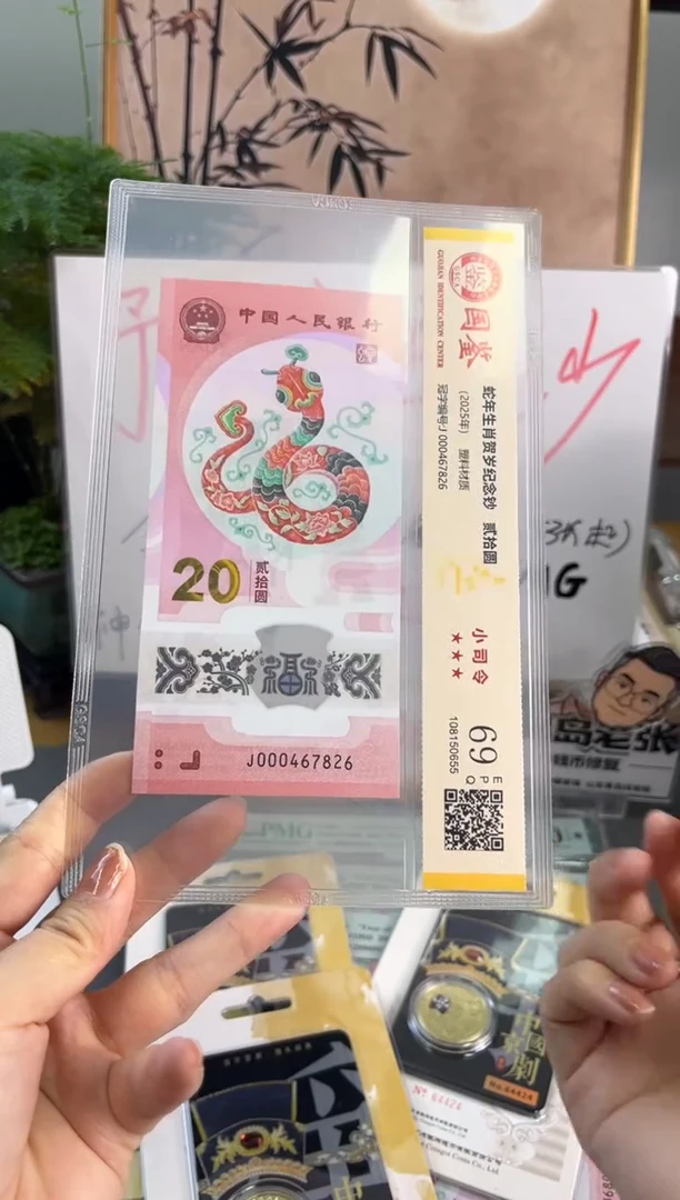 塑料蛇钞小司令国鉴69分 尾826