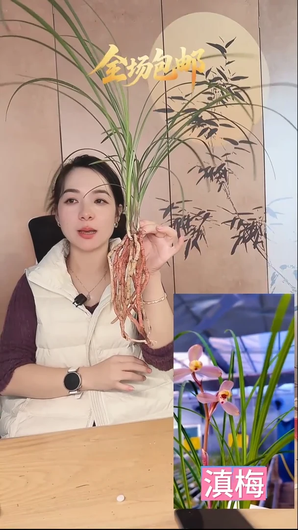 当前无花栽培后可以开花：滇梅