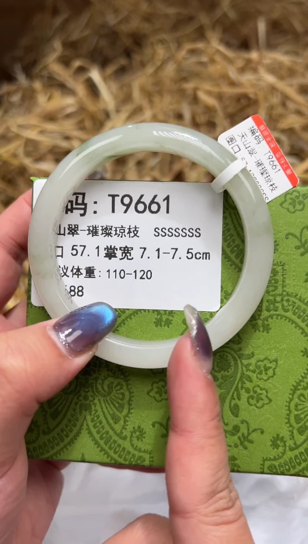 未镶嵌手镯石英质玉T9661