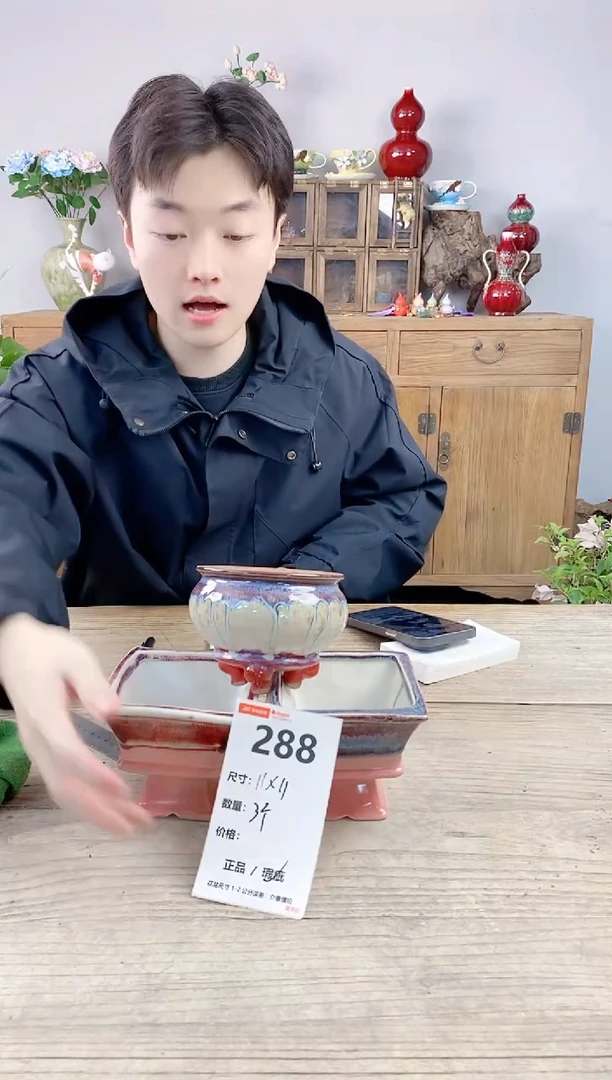 晴好园艺直播编号288