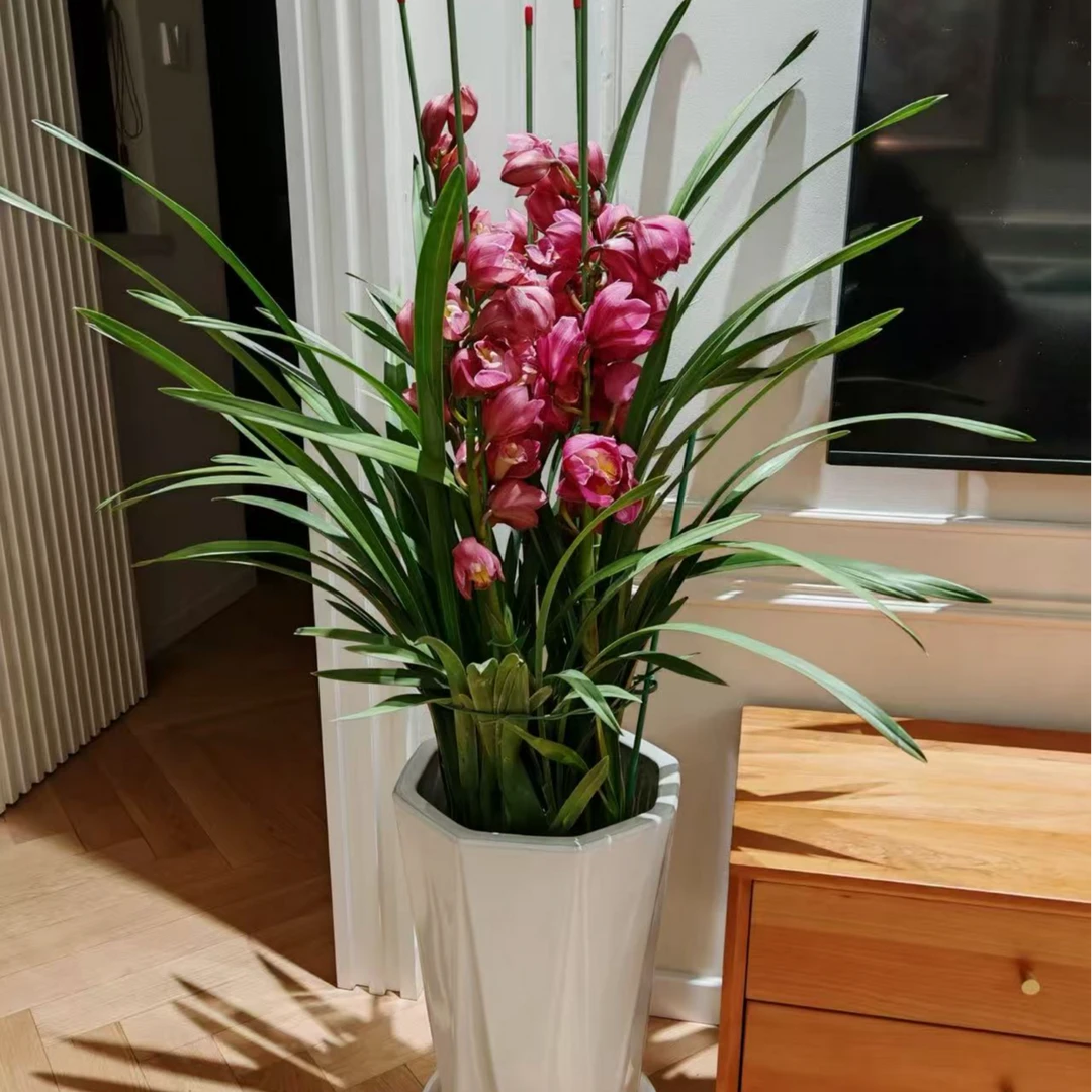 绣球4支 高货落地款室内办公室客厅年宵花