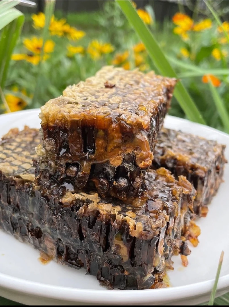 老巢蜂巢蜜2-3年老巢蜜盒装500克整盒新疆伊犁土蜂蜜