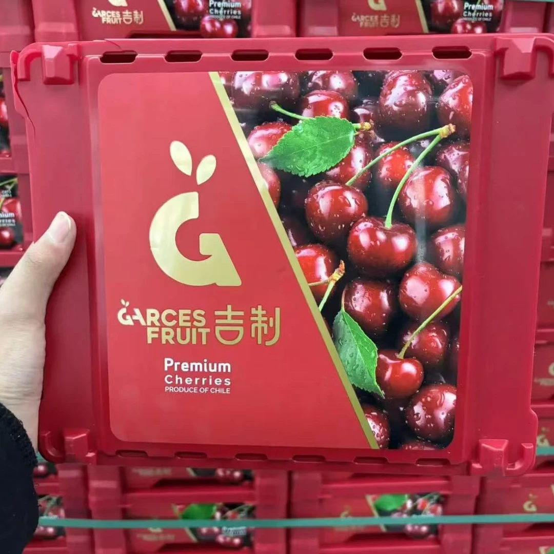 【吉制小红盒】指定品牌海运桑提娜车厘子J-4J/2-5斤装 内附果径卡