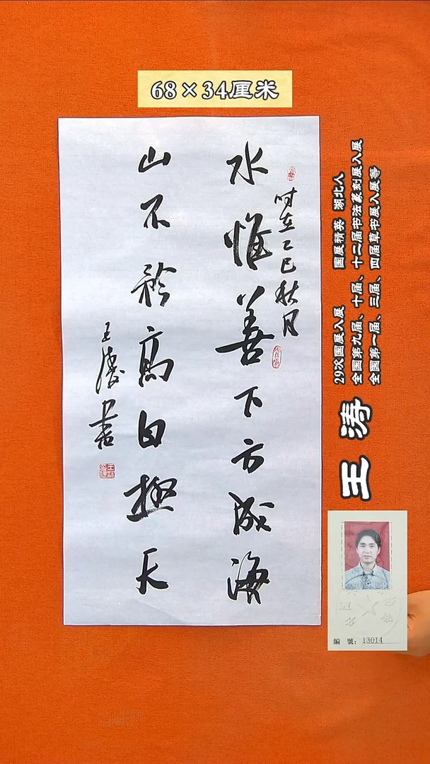 书法219R王涛书法作品