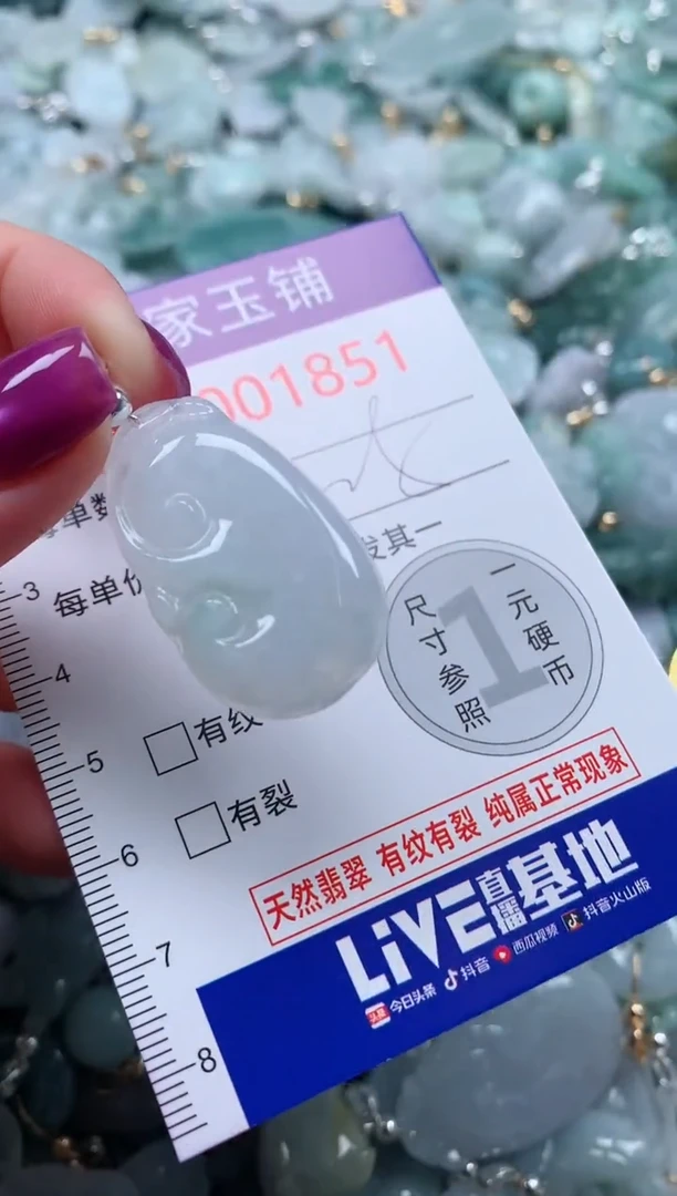 颈饰未镶嵌翡翠1851