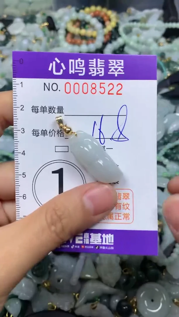 【闪购商品】翡翠颈饰未镶嵌闪购008522