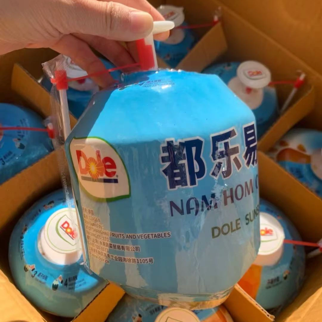 都乐易开椰 2个约2-3斤椰子椰青新鲜