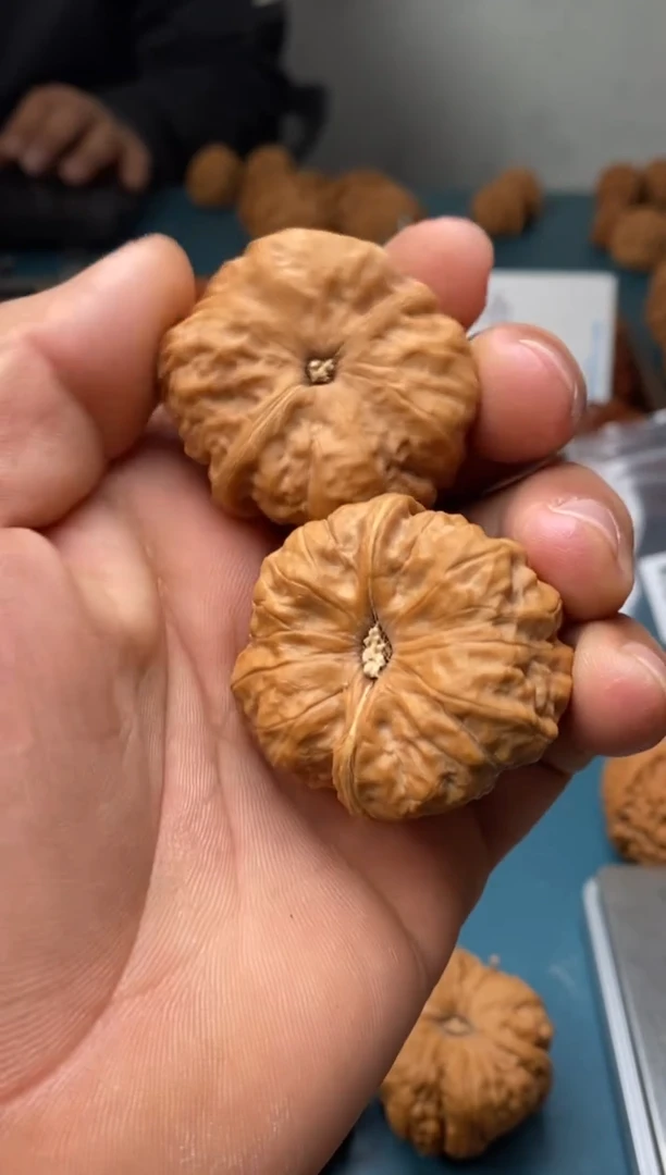吊坠文玩核桃娃饼580