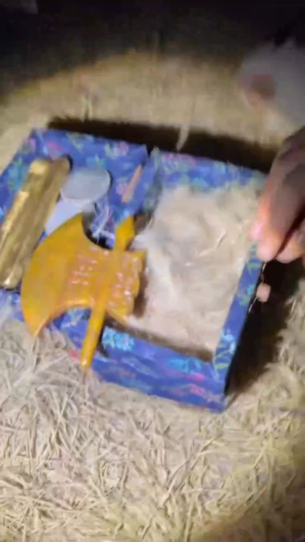 木木木木木木木木