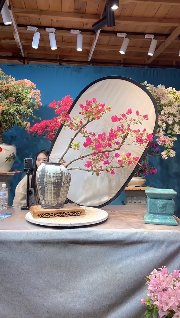 少量花朵（建议范围：2朵-5朵 或40%以下）金星双色