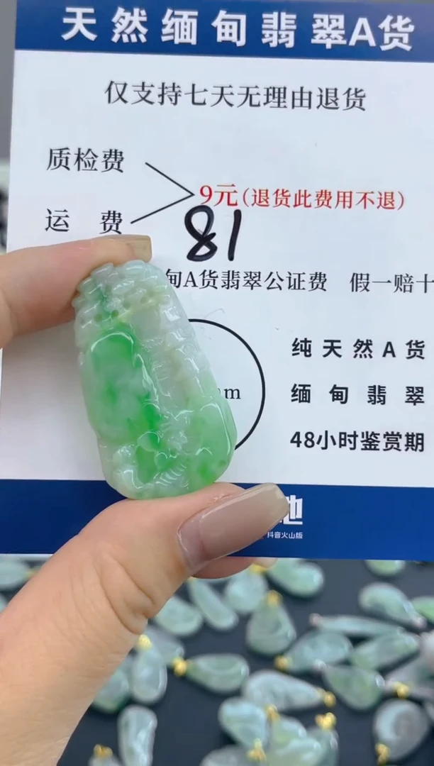 颈饰未镶嵌翡翠天然A货翡翠  81