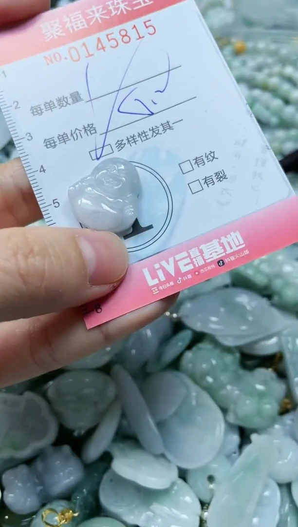 【闪购商品】翡翠未镶嵌颈饰闪购0145815多样性发其一