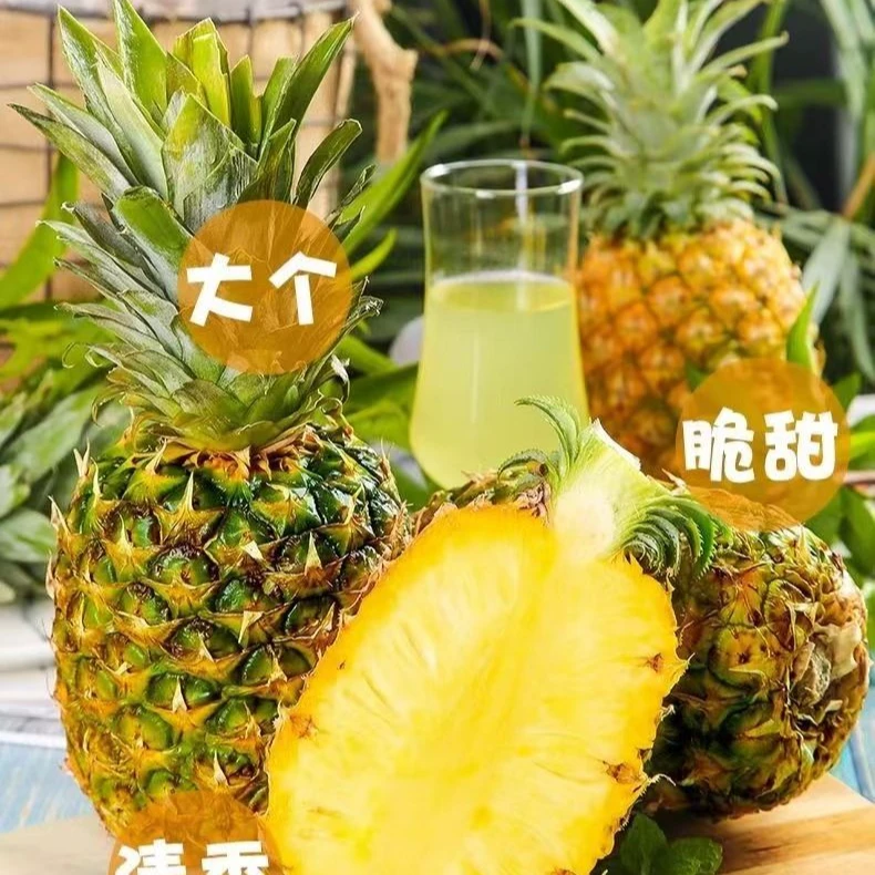 云南新鲜凤梨新鲜水果4.5-8斤装青果发货酸甜口感收到催黄吃