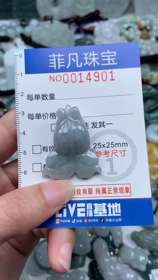 颈饰未镶嵌翡翠14901