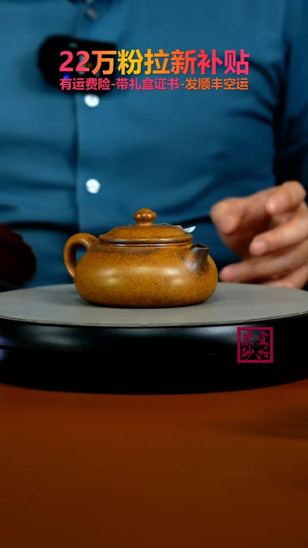 茶壶紫砂龙骨金砂柴烧光素寒江160CC